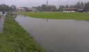 IMAG0089.jpg
